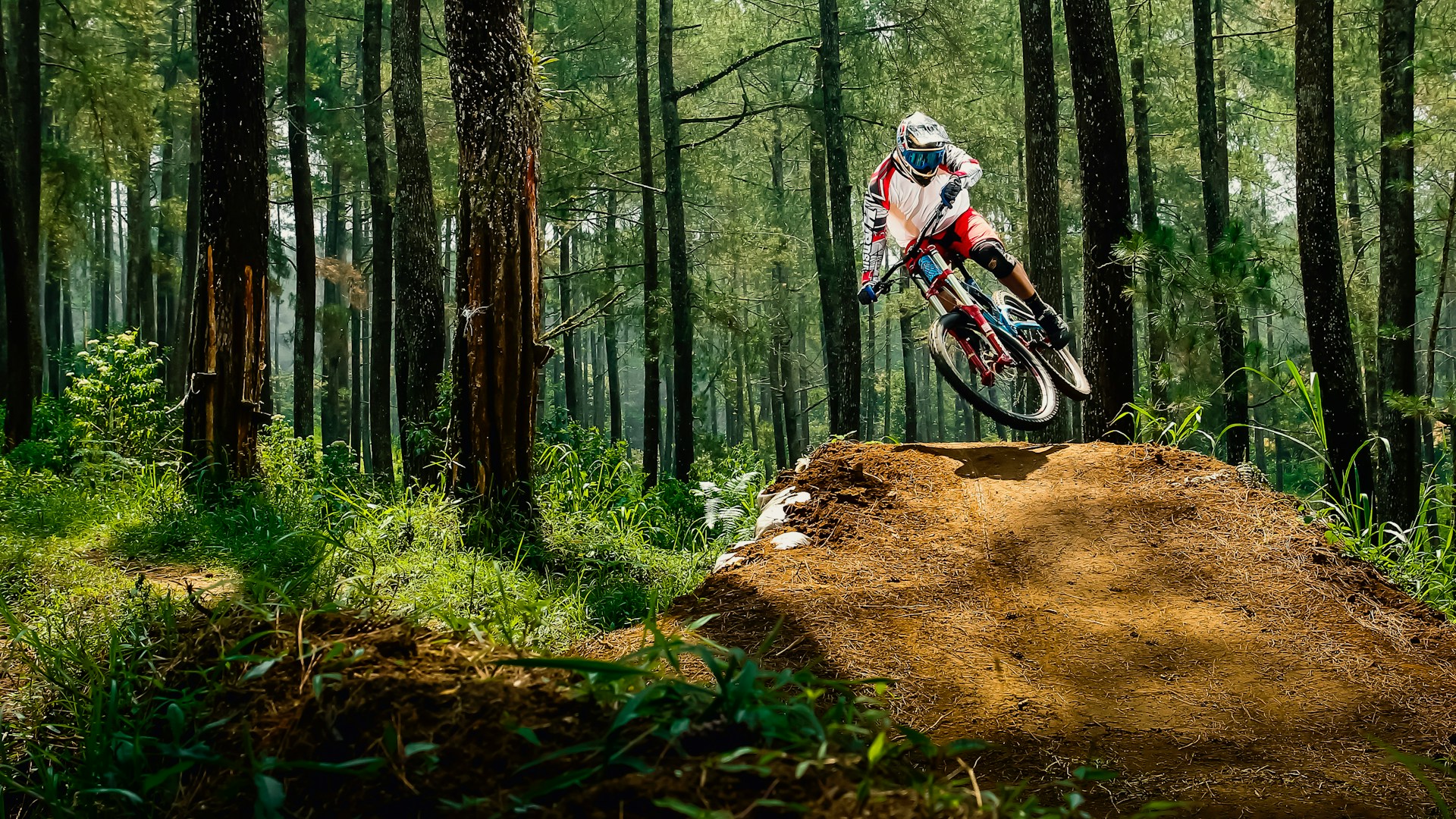 a spin city trail cyclist in a forest